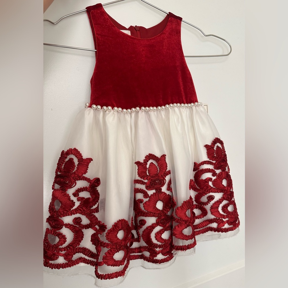 Beautiful holiday velvet dress